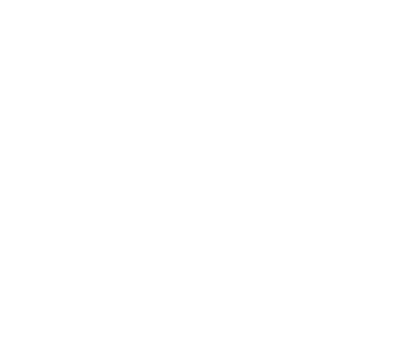 Logo Natalbizia